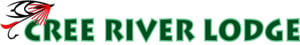 logo-300