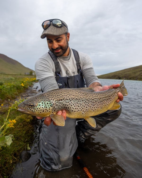Iceland-brown-trout-1