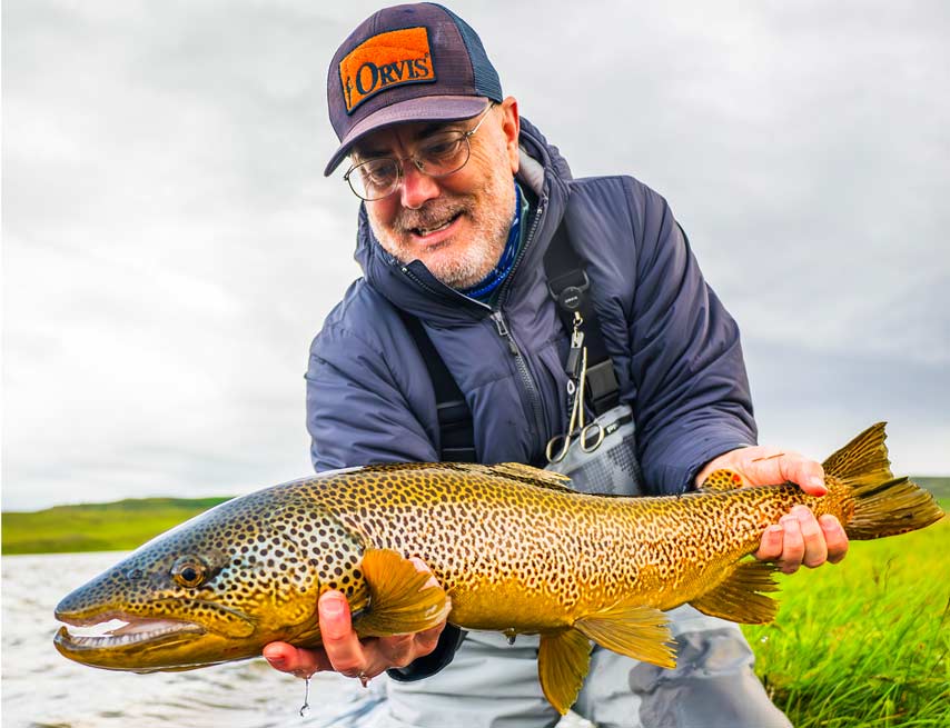 Phil iceland brown